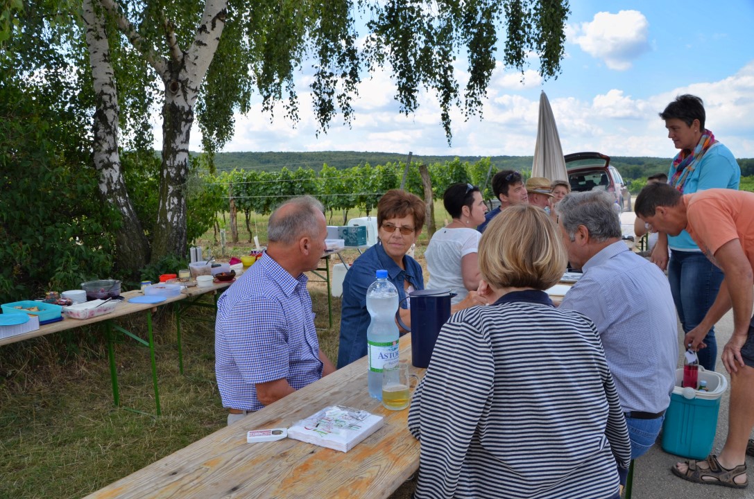 20170624 Renovierung Hiata-Hütte (20)