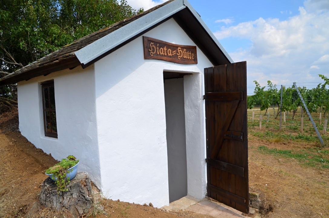 20170624 Renovierung Hiata-Hütte (21)