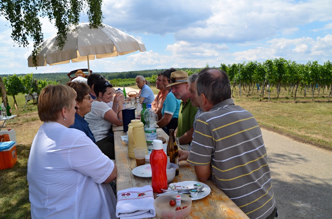 20170624 Renovierung Hiata-Hütte (25)