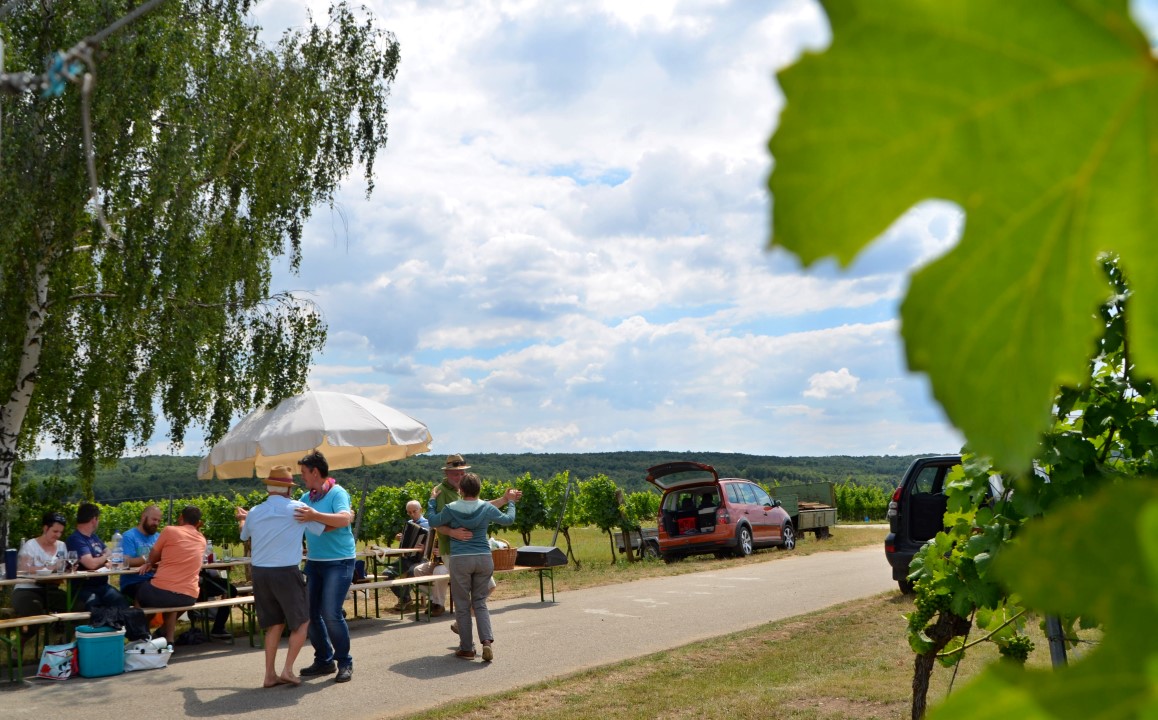 20170624 Renovierung Hiata-Hütte (31)