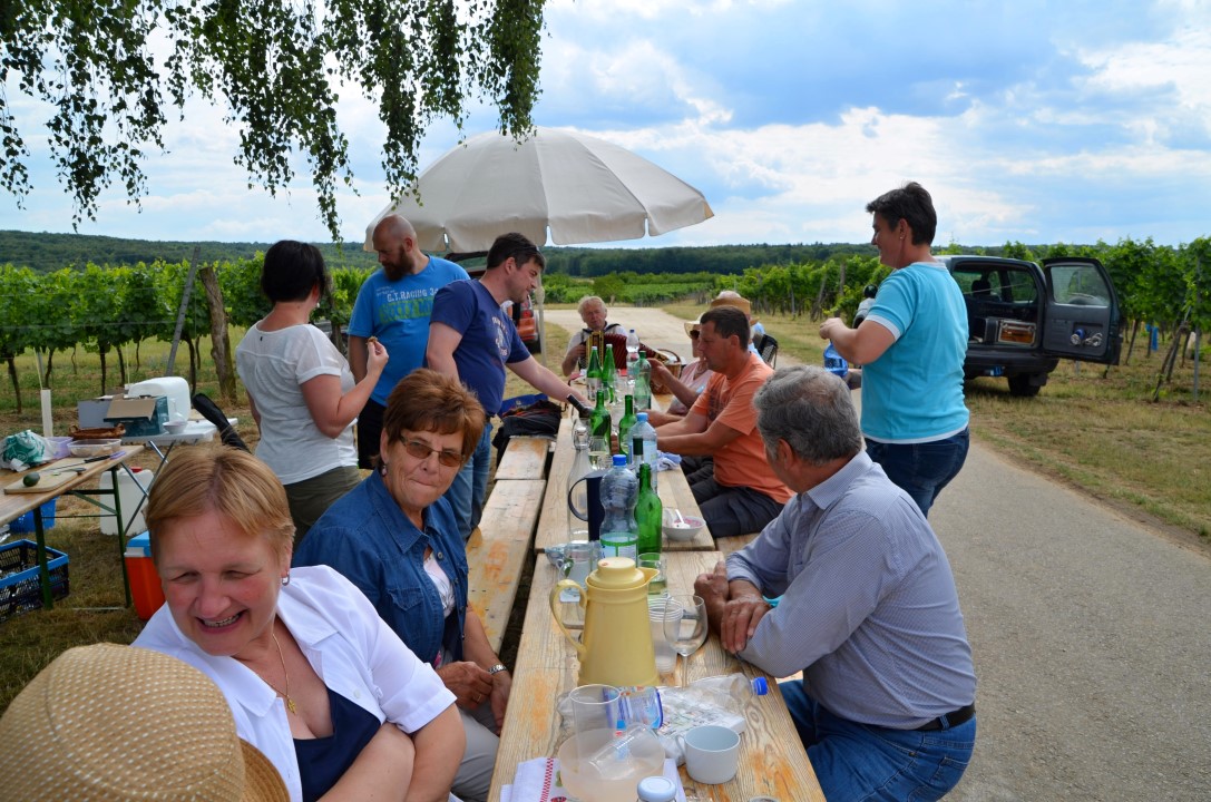 20170624 Renovierung Hiata-Hütte (36)