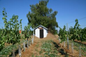20170624 Renovierung Hiata-Hütte (37)
