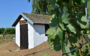 20170624 Renovierung Hiata-Hütte (38)