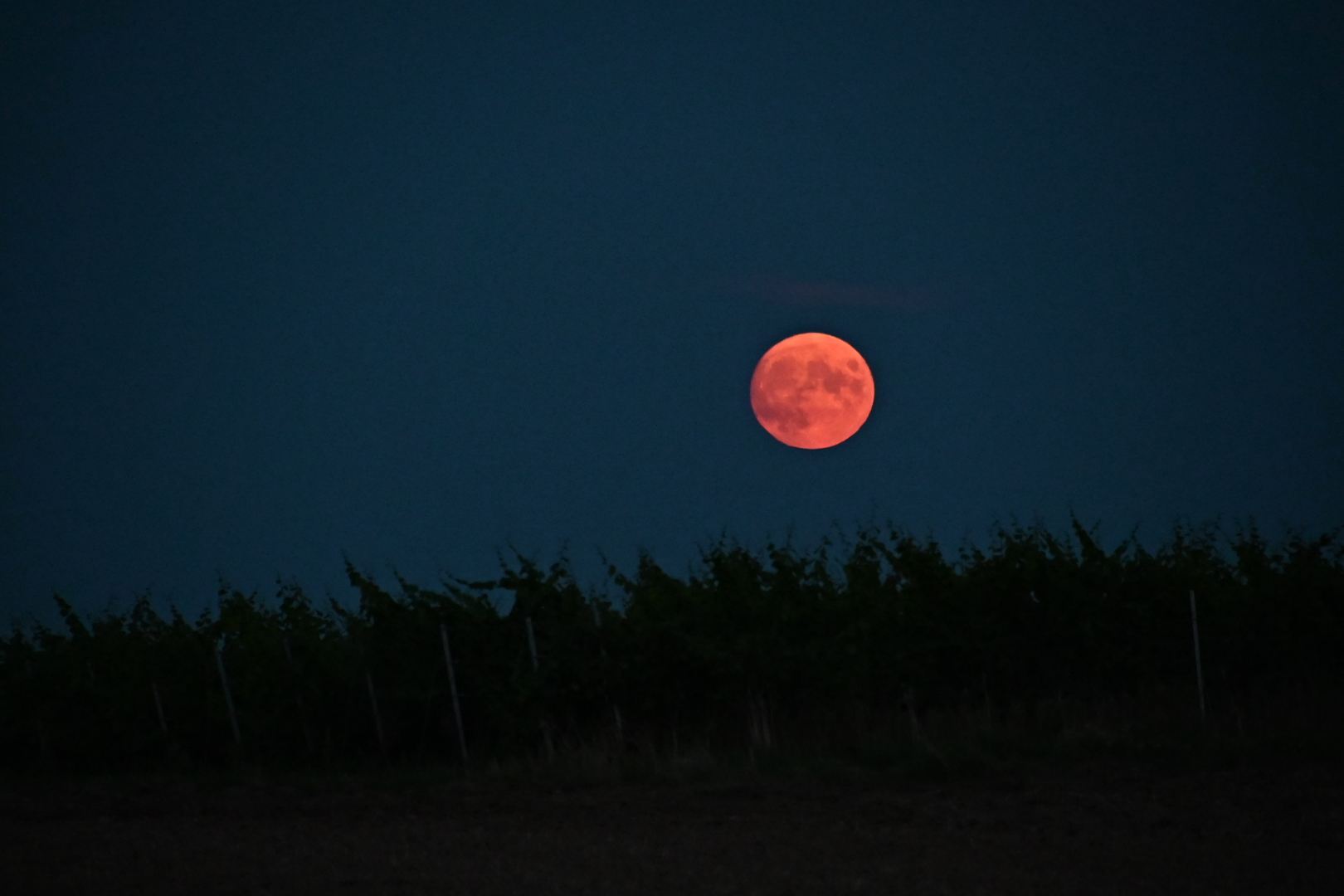 20210821 Vollmondwanderung (12)