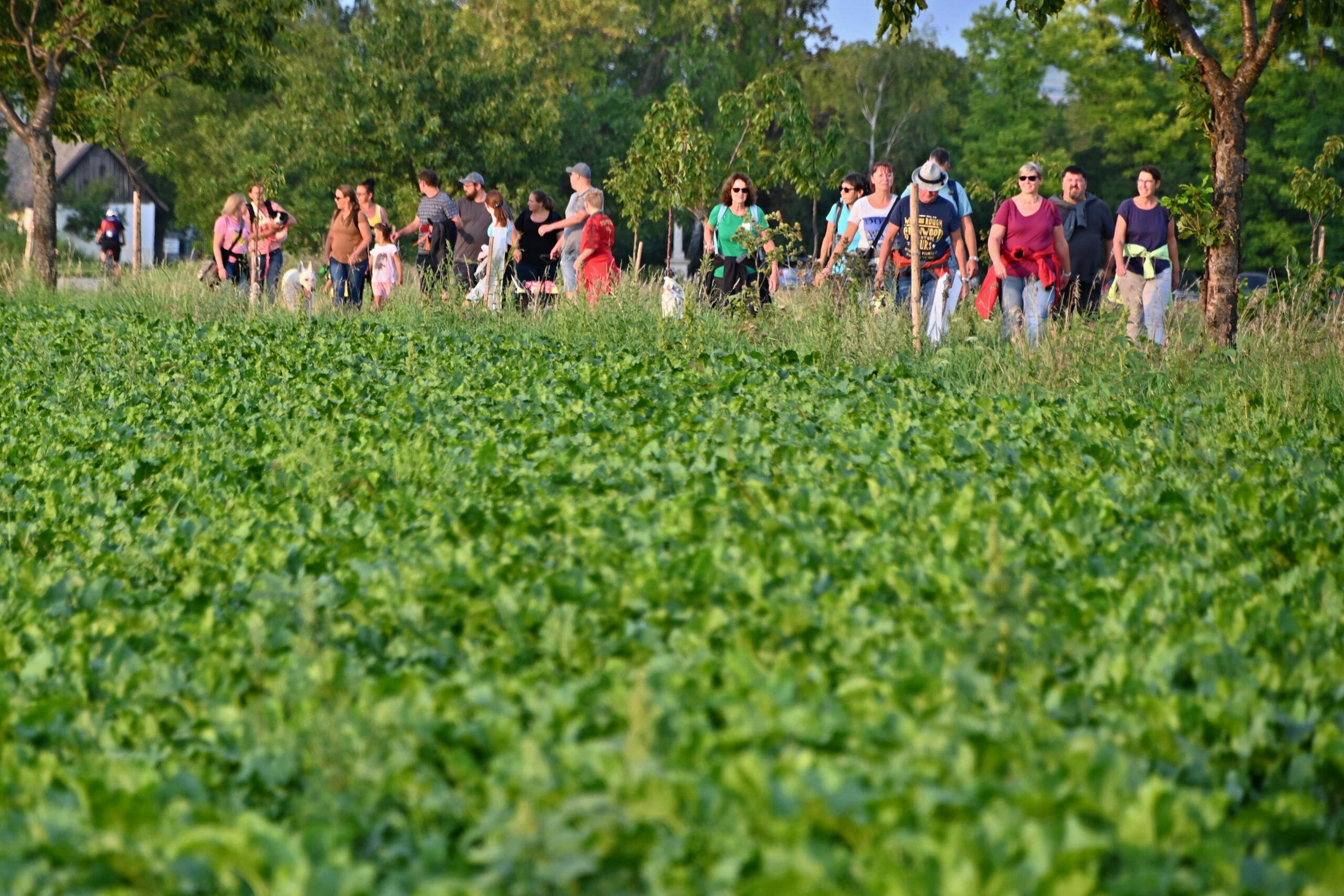 20210821 Vollmondwanderung (2)