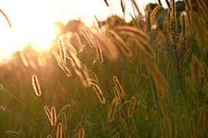 20210821 Vollmondwanderung (4)