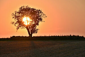 20210821 Vollmondwanderung (6)