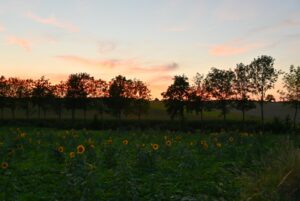 20200801 Vollmondwanderung (8)