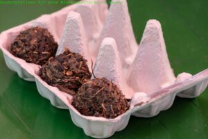 Ferienspiele 2023 (2)