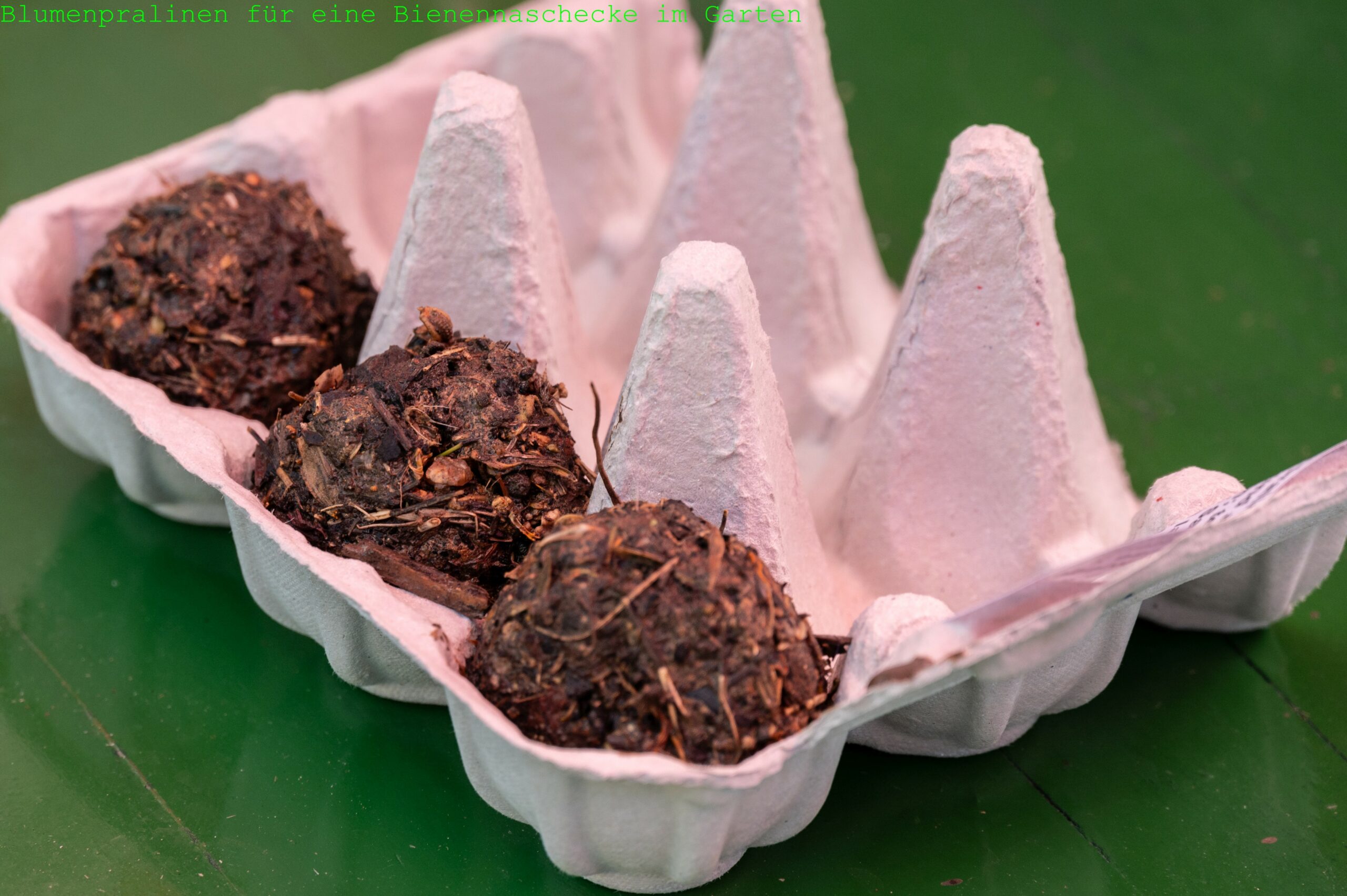 Ferienspiele 2023 (2)