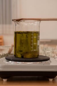 Großmutters Hausapotheke 20.03.2025 (03)